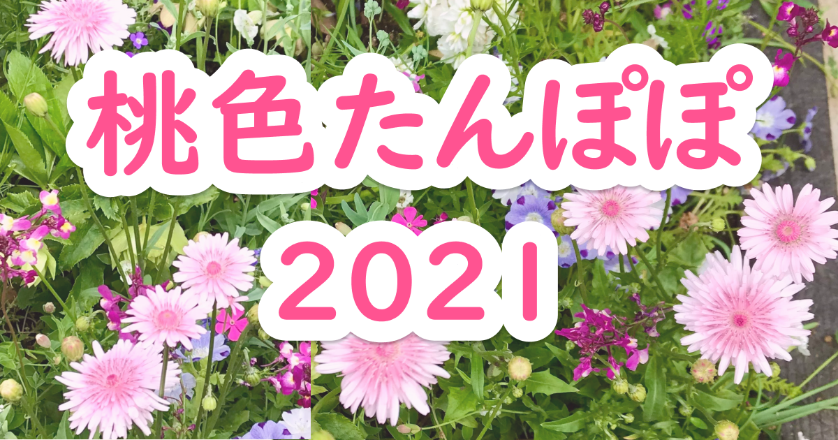 桃色たんぽぽ21 In いきちか花壇 いきちかブログ