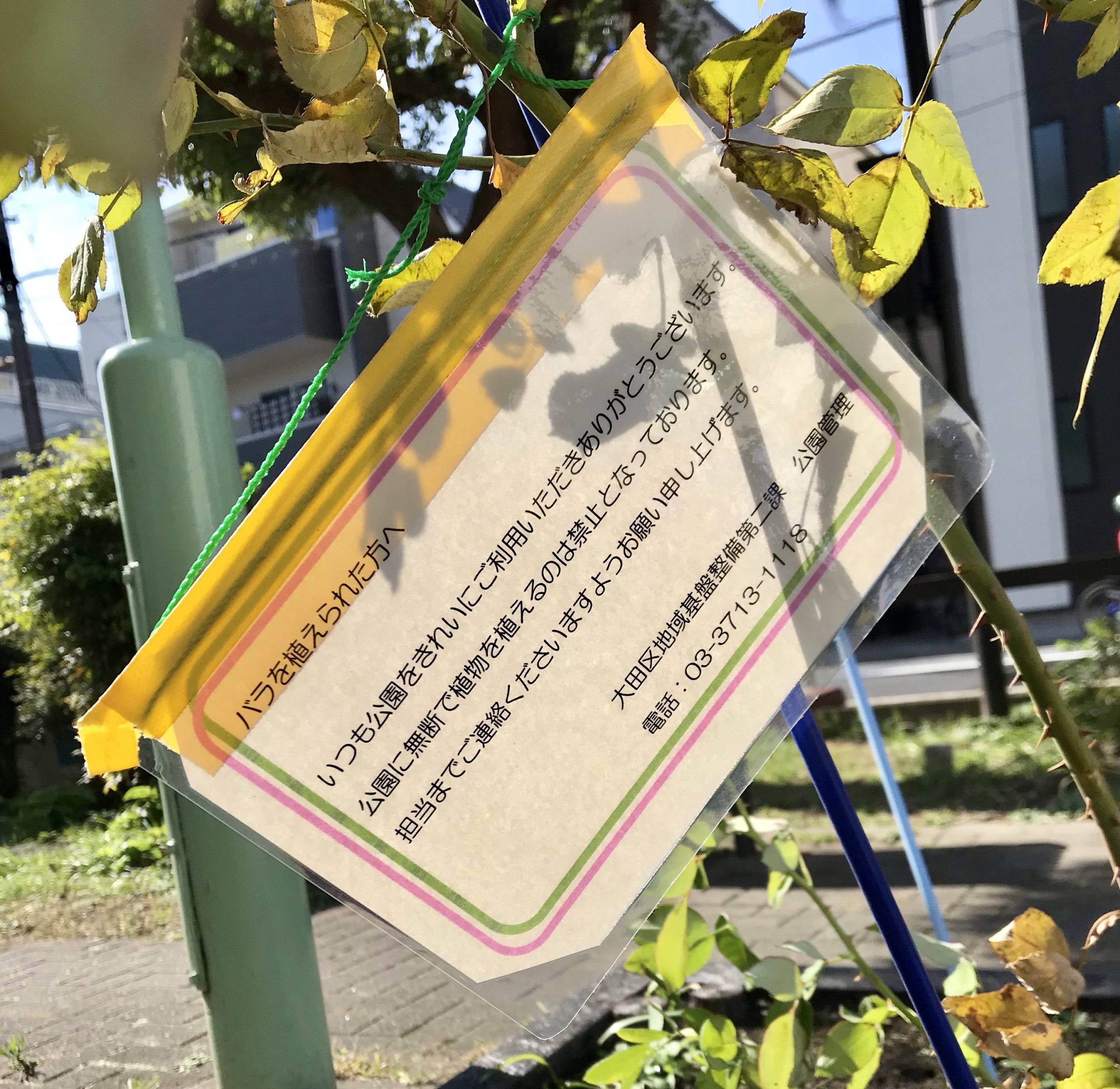 花壇のバラに掲げられた警告